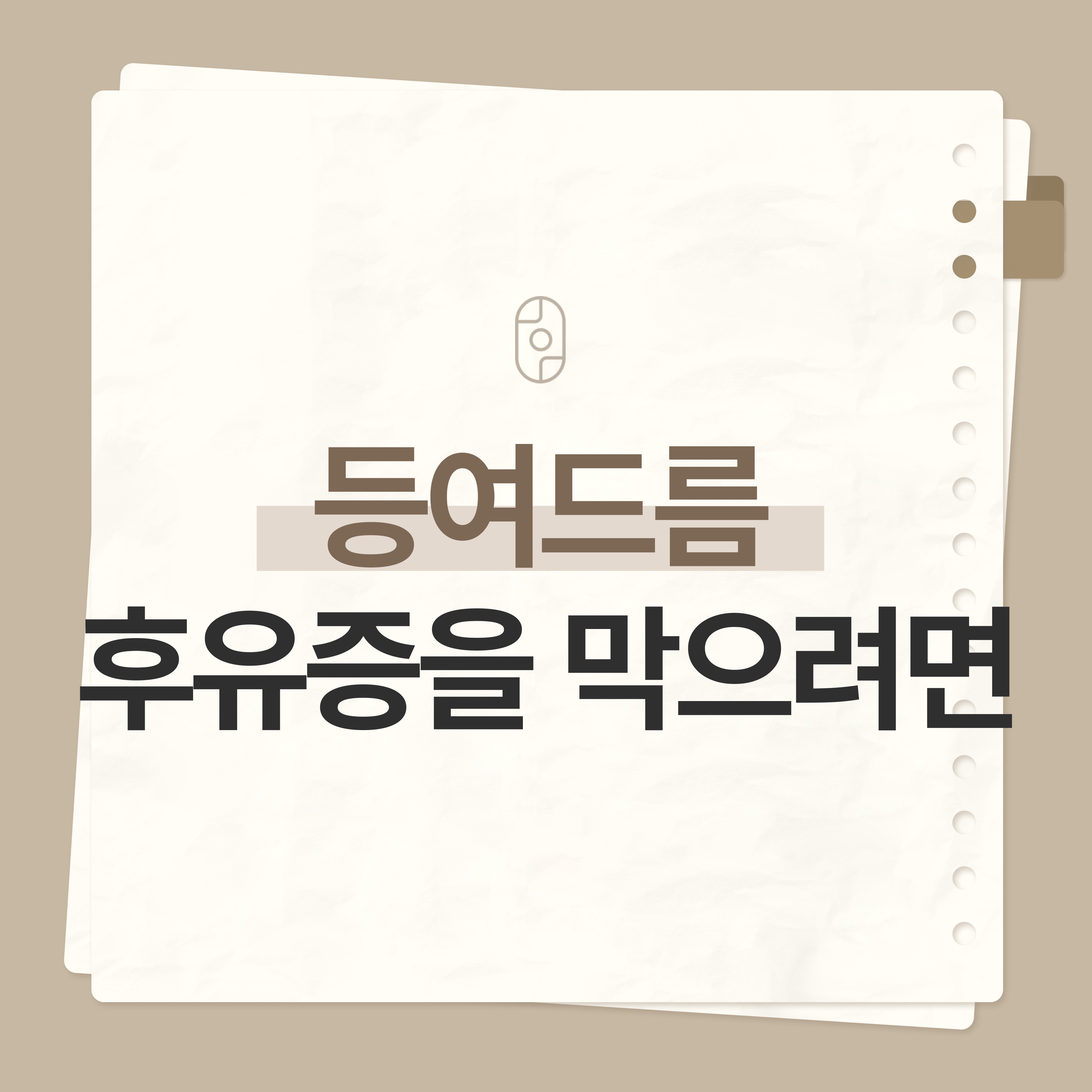 안양등드름