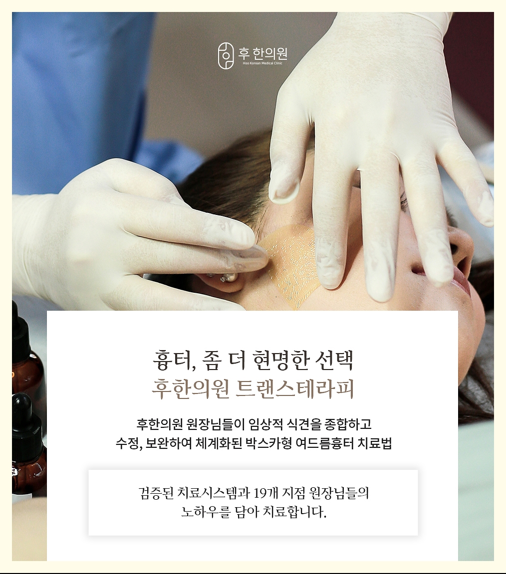 흉터 트랜스테라피의 특장점 정리한 간단 이미지