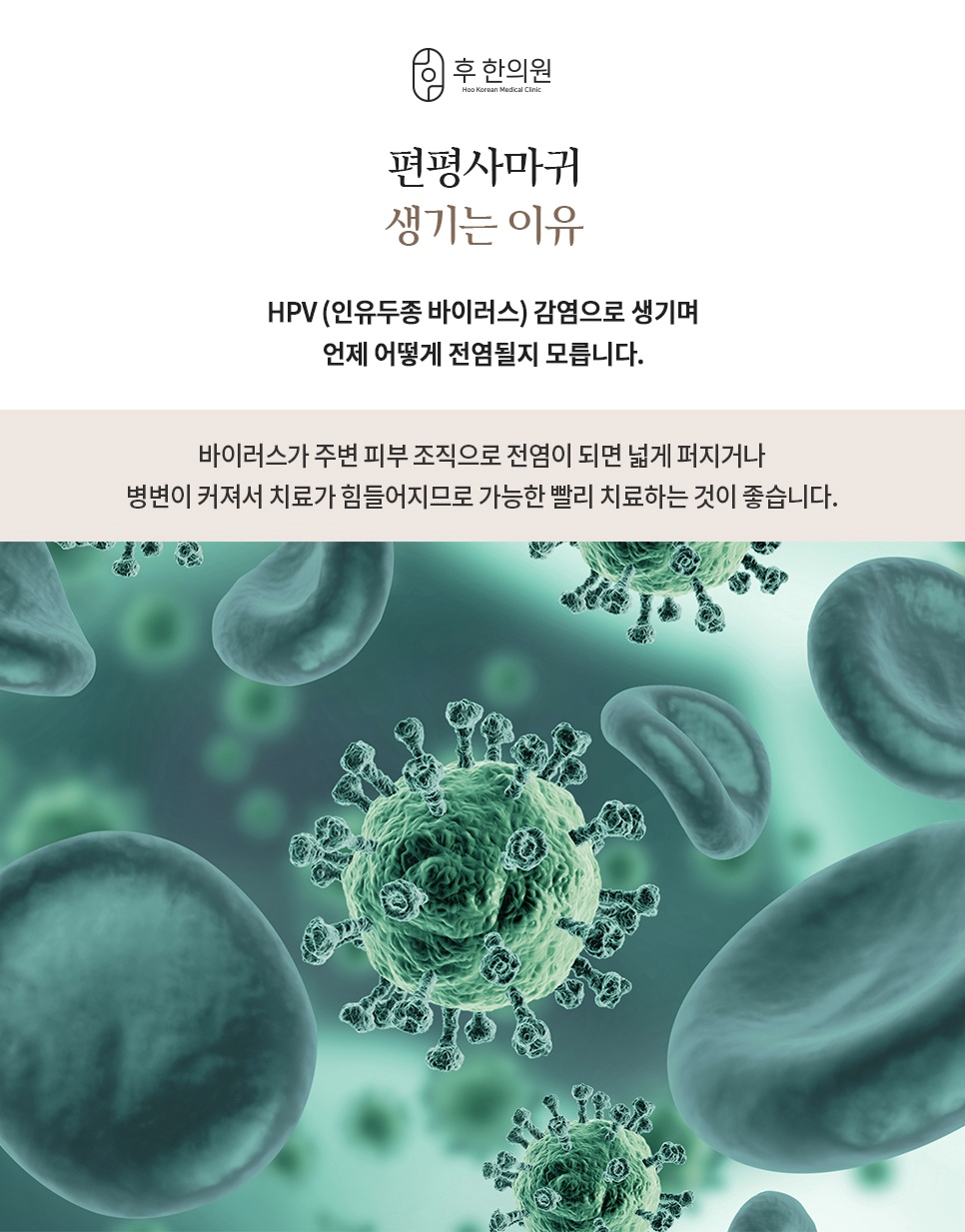 HPV 바이러스 감염으로 편평사마귀가 생기는 원인