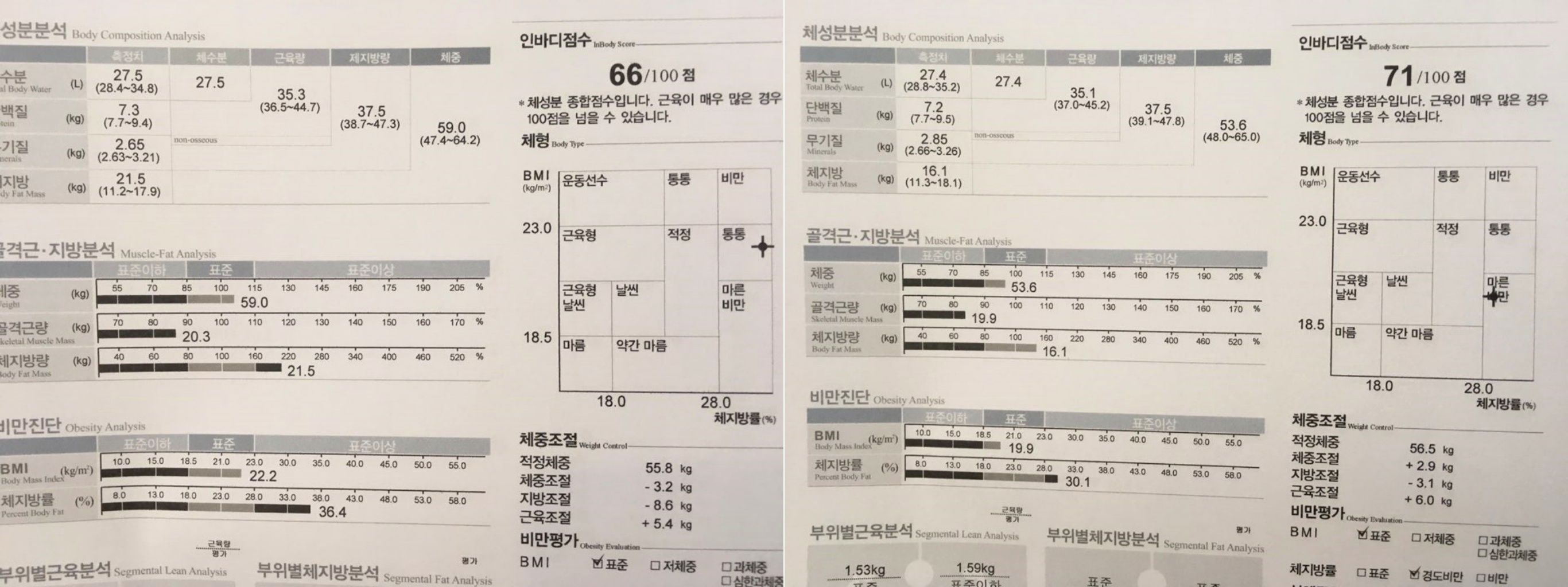 체중 59.0kg에서 53.6kg, 체지방량 21.5kg에서 16.1kg으로 달라진 인바디 체성분 분석 결과