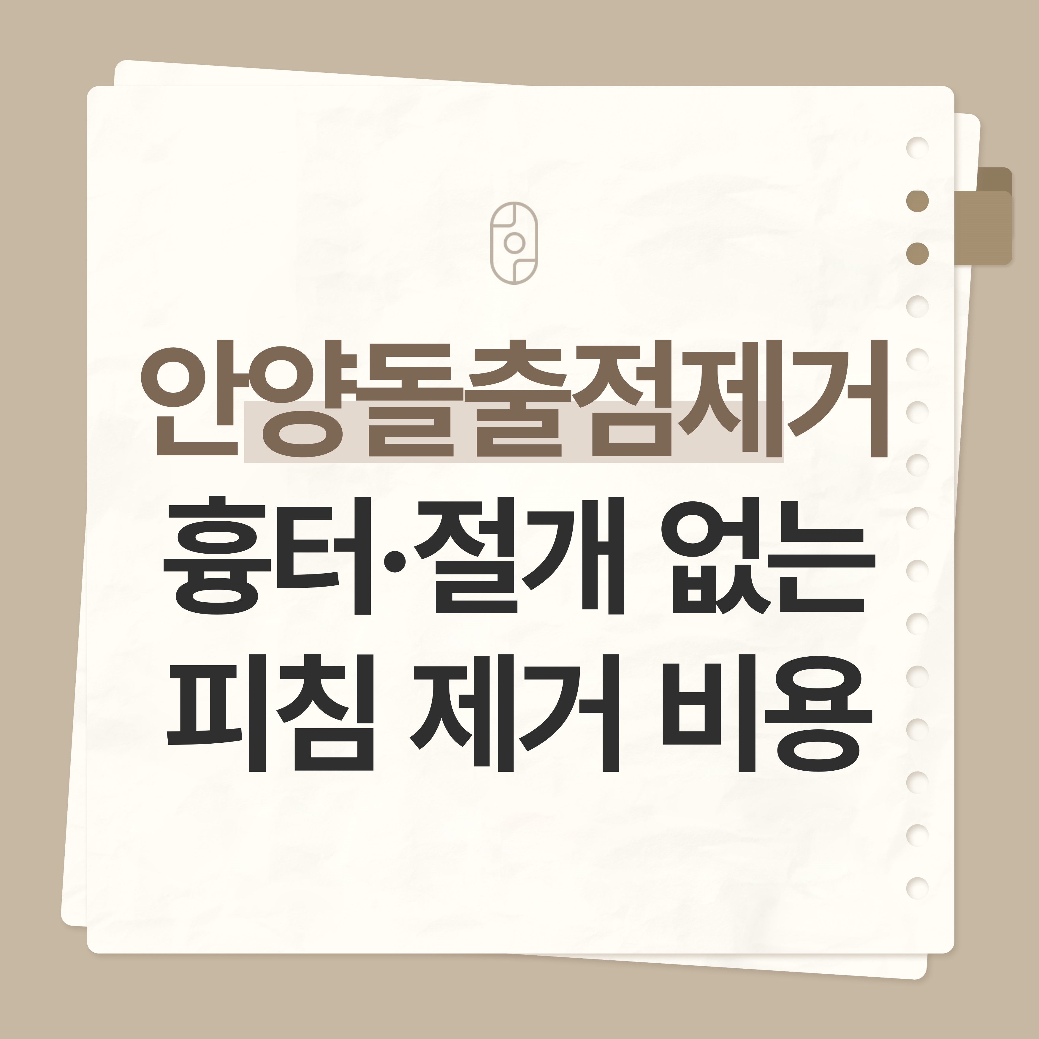안양 돌출점 제거