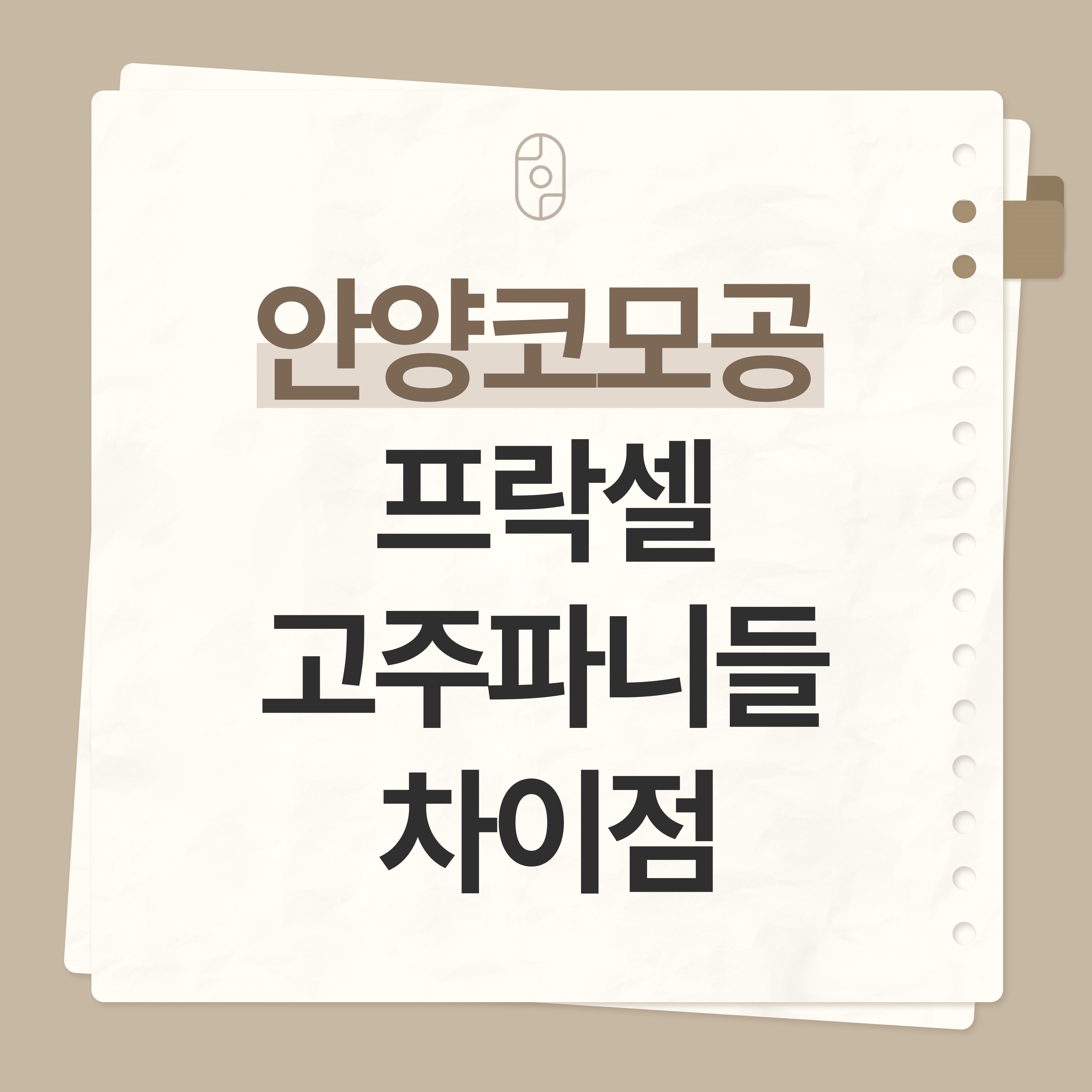 안양 코모공